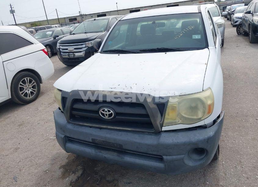 Photo 10 of 2006 Toyota Tacoma (VIN 5TENX22N36Z263730)