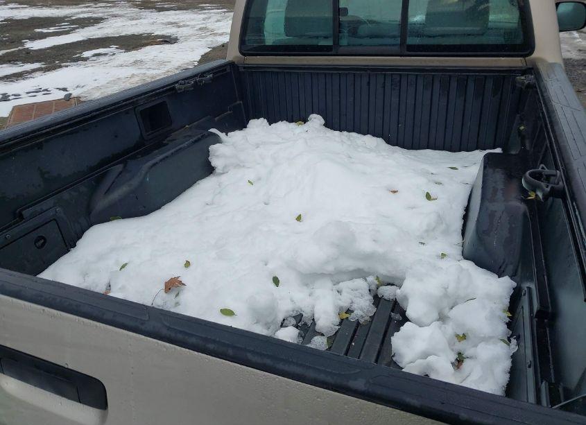 Photo 8 of 2008 Toyota Tacoma (VIN 5TENX22N38Z499894)