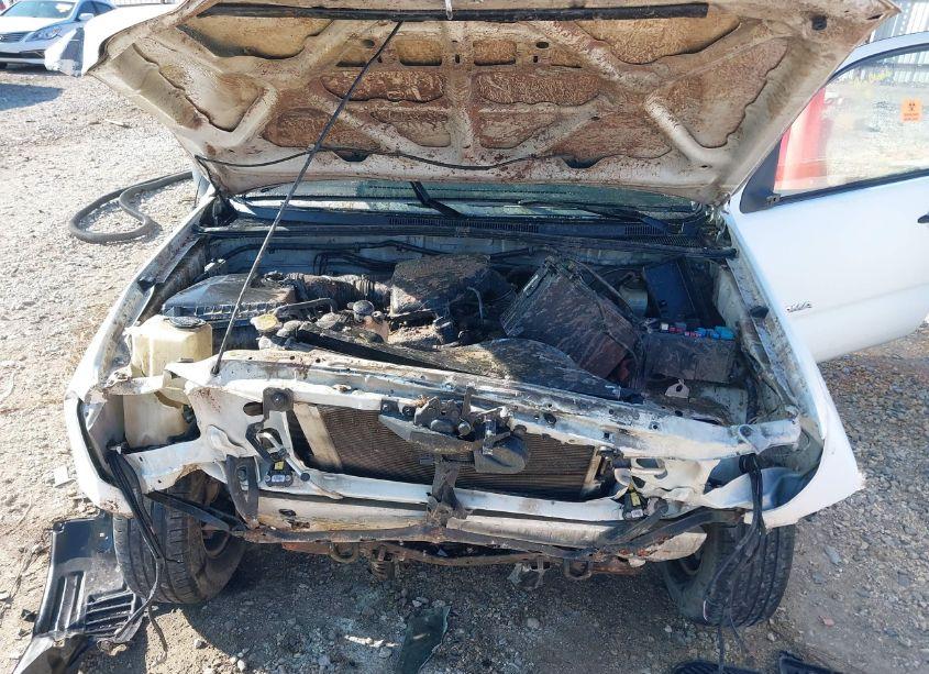 Photo 10 of 2008 Toyota Tacoma (VIN 5TENX22N58Z474950)