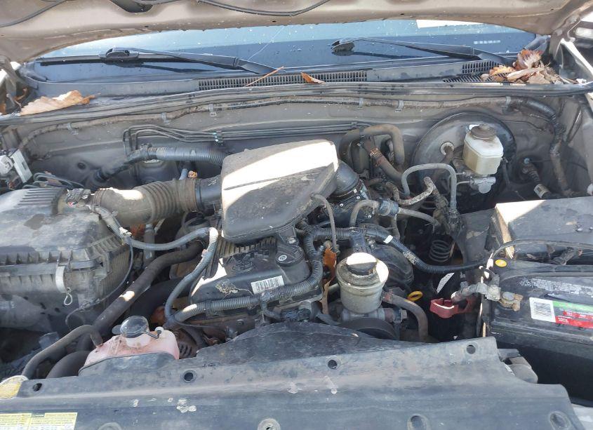 Photo 10 of 2008 Toyota Tacoma (VIN 5TENX22N88Z491791)