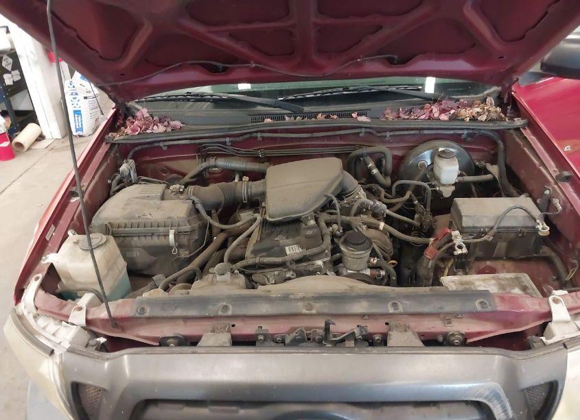 Photo 10 of 2008 Toyota Tacoma (VIN 5TENX22N88Z496408)