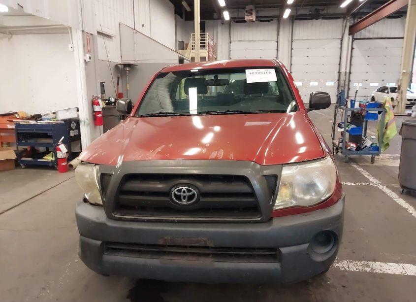 Photo 13 of 2008 Toyota Tacoma (VIN 5TENX22N88Z496408)