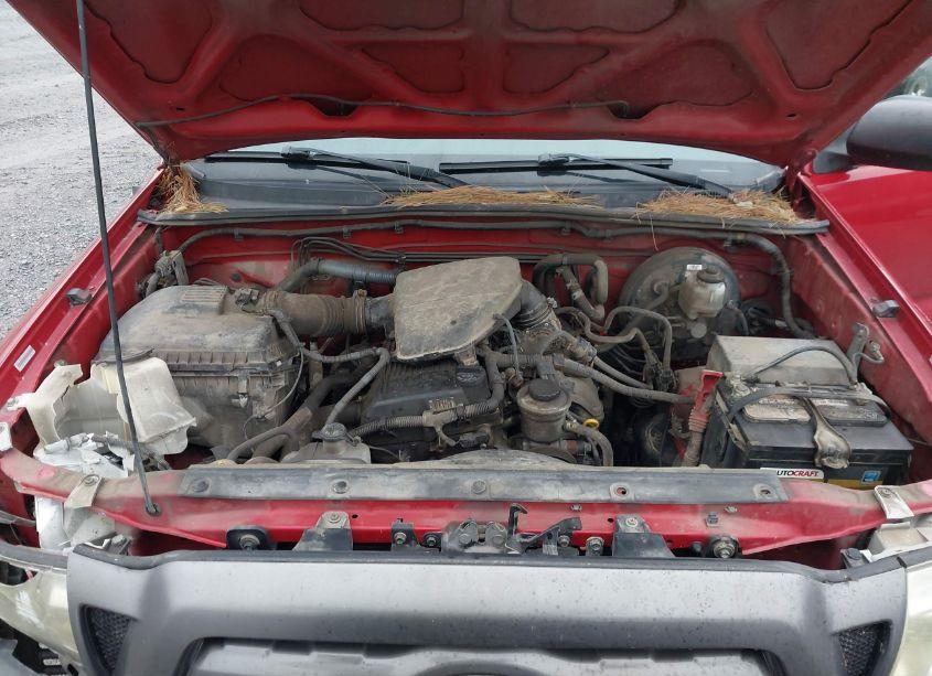 Photo 10 of 2009 Toyota Tacoma (VIN 5TENX22NX9Z618736)