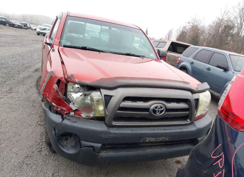 Photo 12 of 2009 Toyota Tacoma (VIN 5TENX22NX9Z618736)