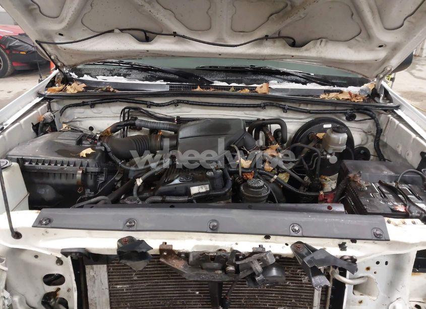 Photo 10 of 2010 Toyota Tacoma (VIN 5TENX4CN2AZ725309)