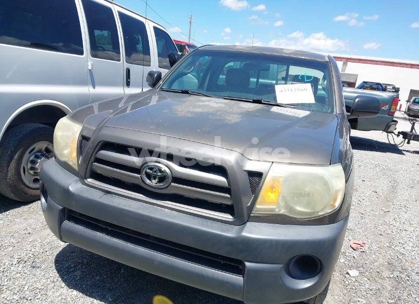 Photo 12 of 2010 Toyota Tacoma (VIN 5TENX4CN4AZ687209)