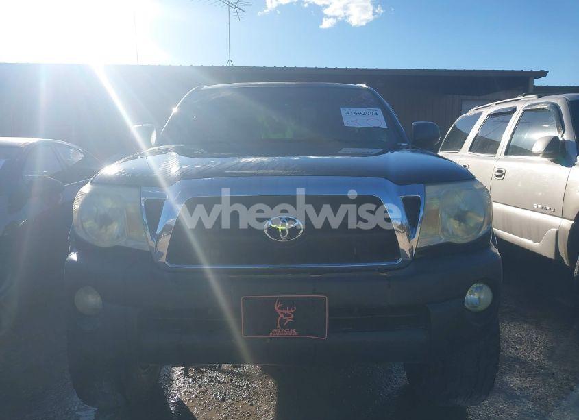 Photo 12 of 2008 Toyota Tacoma (VIN 5TEPX42N38Z547494)