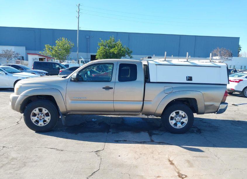 Photo 14 of 2005 Toyota Tacoma PRERUNNER V6 (VIN 5TETU62N25Z003065)