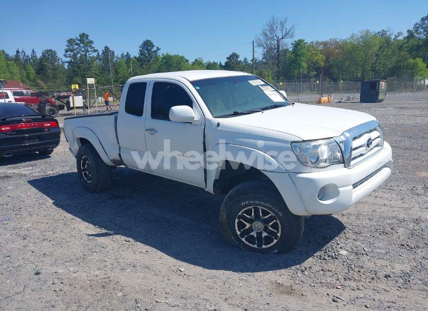 2007 Toyota Tacoma PRERUNNER V6 (VIN 5TETU62N47Z425485) main photo