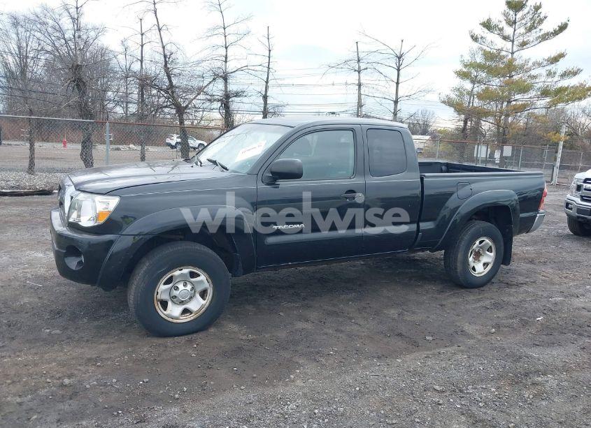 Photo 14 of 2006 Toyota Tacoma PRERUNNER V6 (VIN 5TETU62N76Z314606)