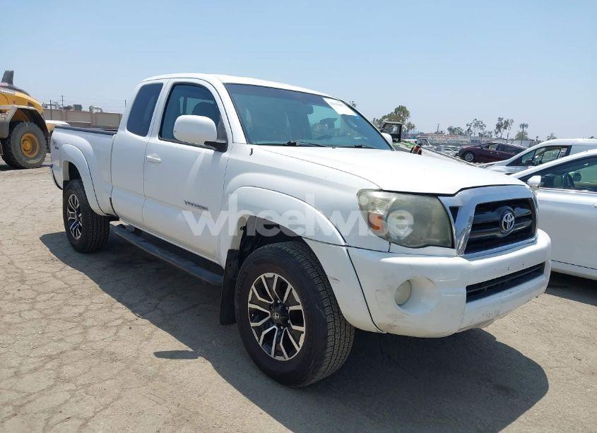 2009 Toyota Tacoma PRERUNNER V6 (VIN 5TETU62N99Z651024) main photo