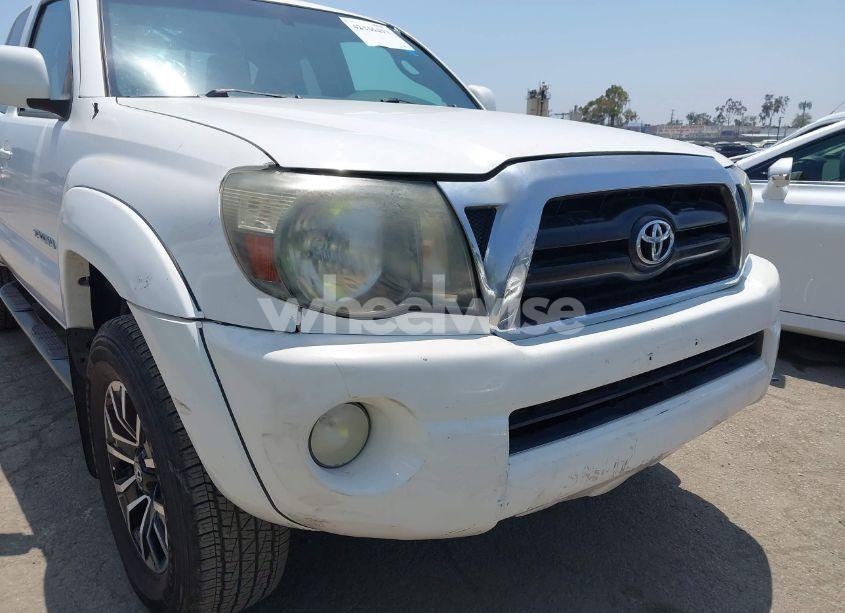 Photo 6 of 2009 Toyota Tacoma PRERUNNER V6 (VIN 5TETU62N99Z651024)