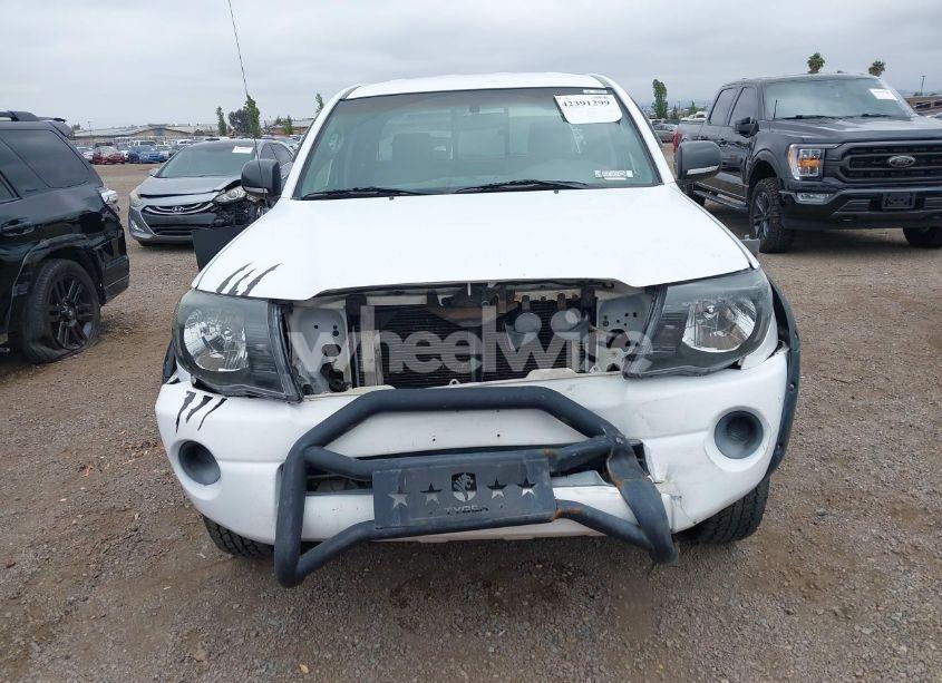 Photo 13 of 2006 Toyota Tacoma (VIN 5TETX22N16Z262471)