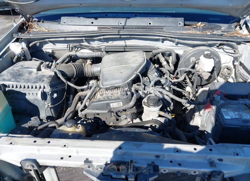 Photo 10 of 2007 Toyota Tacoma N/A (VIN 5TETX22N17Z463871)