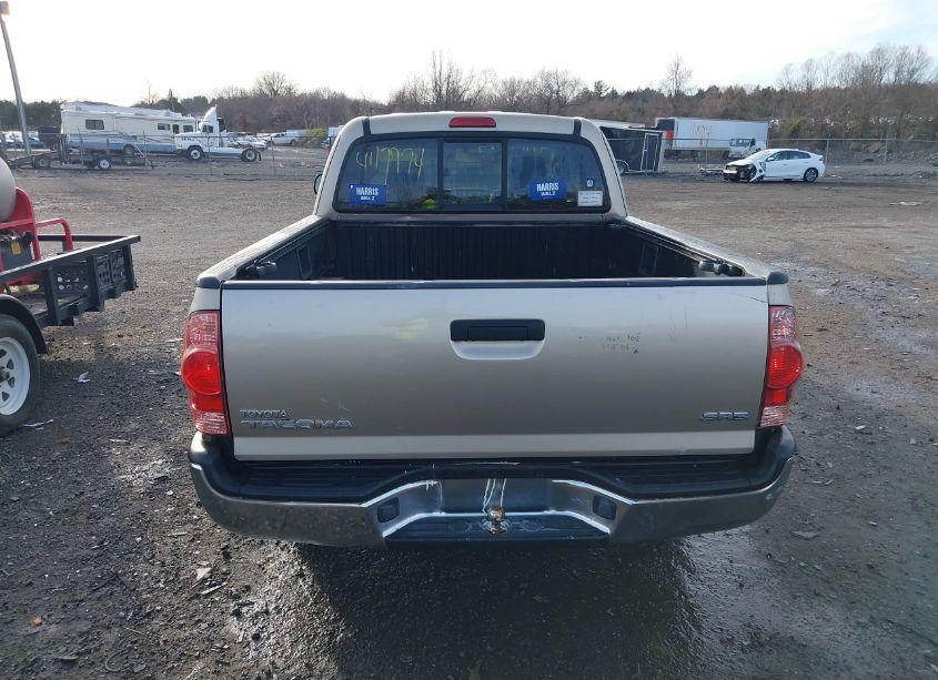 Photo 16 of 2006 Toyota Tacoma (VIN 5TETX22N86Z229662)