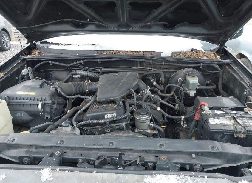 Photo 10 of 2007 Toyota Tacoma PRERUNNER (VIN 5TETX62N27Z388167)