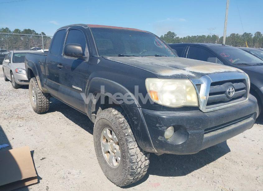 2006 Toyota Tacoma BASE V6 (VIN 5TEUU42N16Z162413) main photo