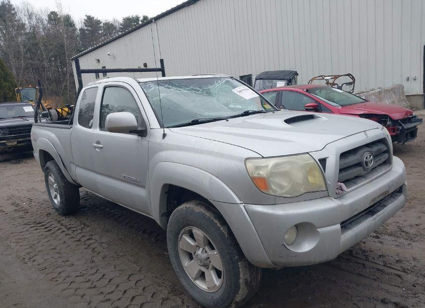 2008 Toyota Tacoma BASE V6 (VIN 5TEUU42N18Z513324) main photo