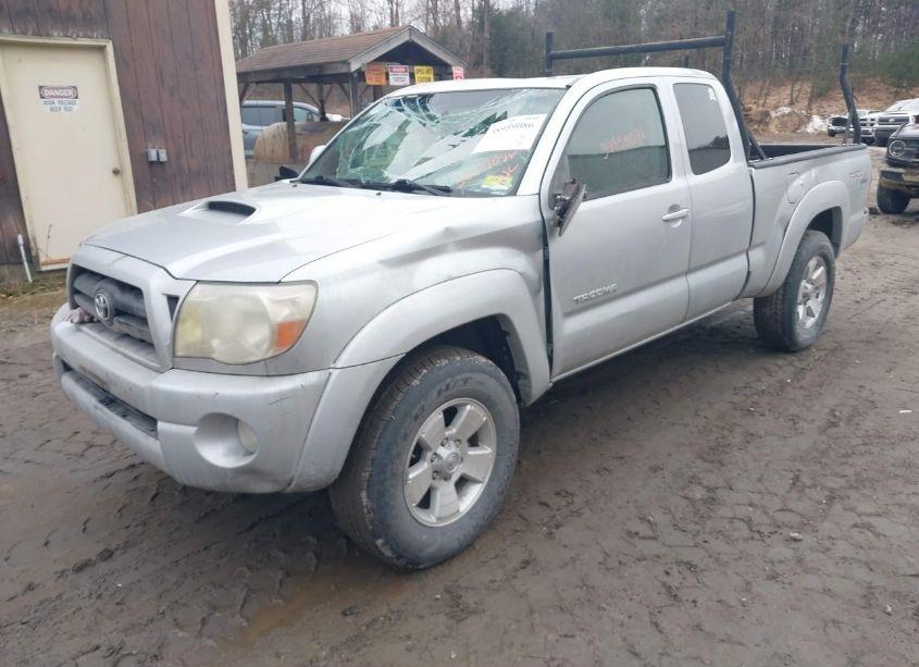 Photo 2 of 2008 Toyota Tacoma BASE V6 (VIN 5TEUU42N18Z513324)