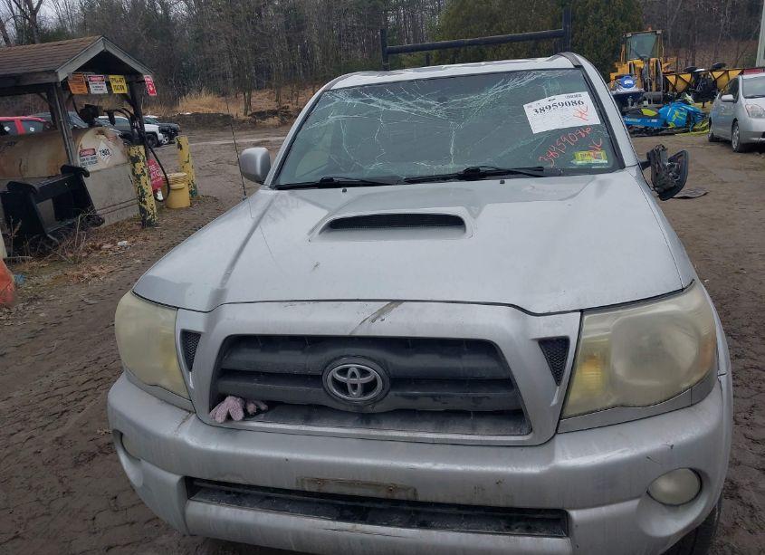 Photo 6 of 2008 Toyota Tacoma BASE V6 (VIN 5TEUU42N18Z513324)