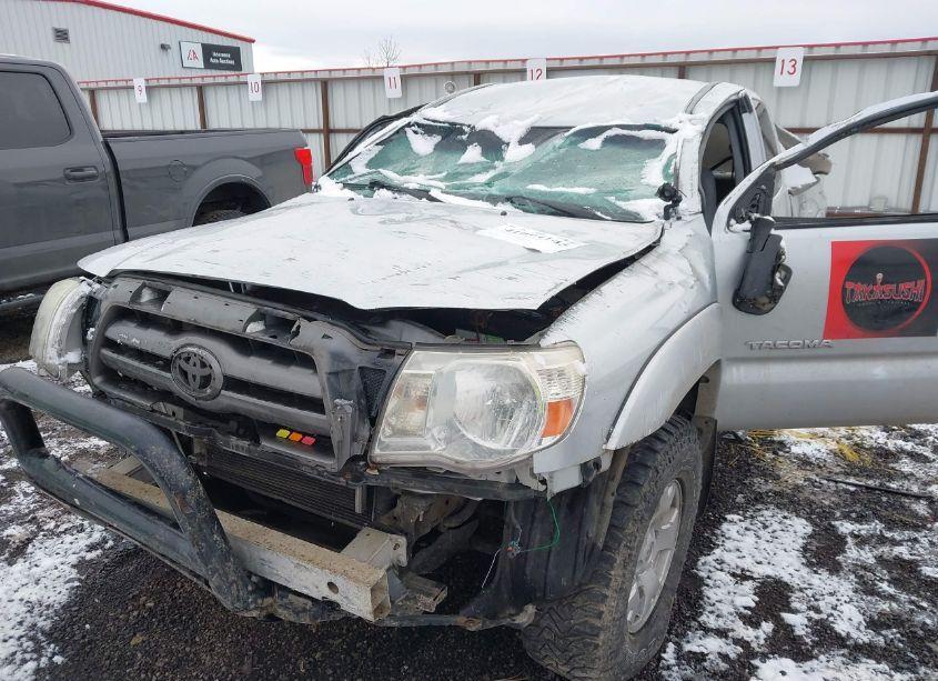 Photo 6 of 2005 Toyota Tacoma BASE V6 (VIN 5TEUU42N25Z072492)