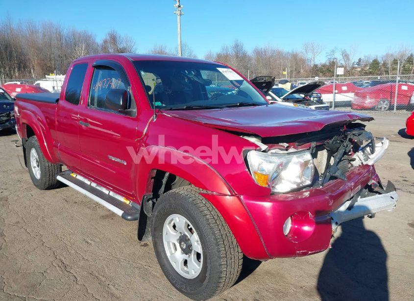 2006 Toyota Tacoma ACCESS CAB (VIN 5TEUU42N26Z245168) main photo