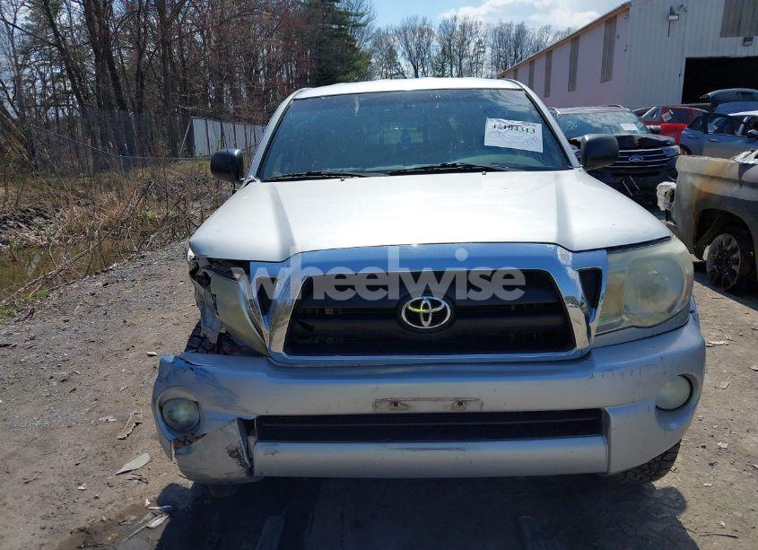 Photo 6 of 2007 Toyota Tacoma BASE V6 (VIN 5TEUU42N27Z362511)