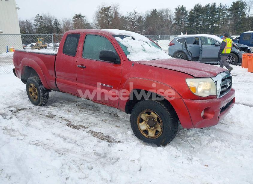 2007 Toyota Tacoma BASE V6 (VIN 5TEUU42N27Z402456) main photo