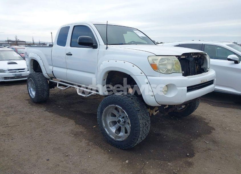 2008 Toyota Tacoma BASE V6 (VIN 5TEUU42N28Z531007) main photo