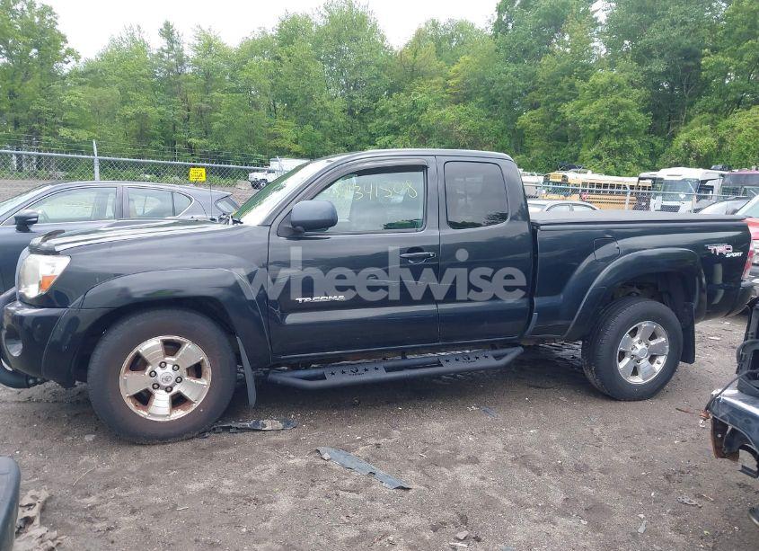 Photo 14 of 2009 Toyota Tacoma BASE V6 (VIN 5TEUU42N29Z595971)