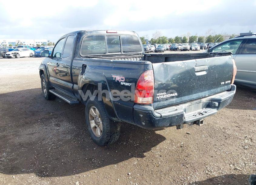 Photo 3 of 2005 Toyota Tacoma BASE V6 (VIN 5TEUU42N35Z135681)