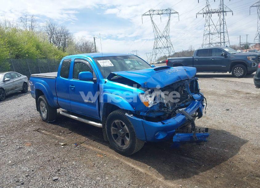 2007 Toyota Tacoma BASE V6 (VIN 5TEUU42N37Z387790) main photo