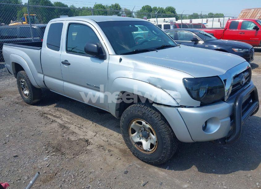 2009 Toyota Tacoma BASE V6 (VIN 5TEUU42N39Z630128) main photo