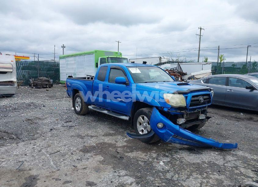 2005 Toyota Tacoma BASE V6 (VIN 5TEUU42N55Z006079) main photo