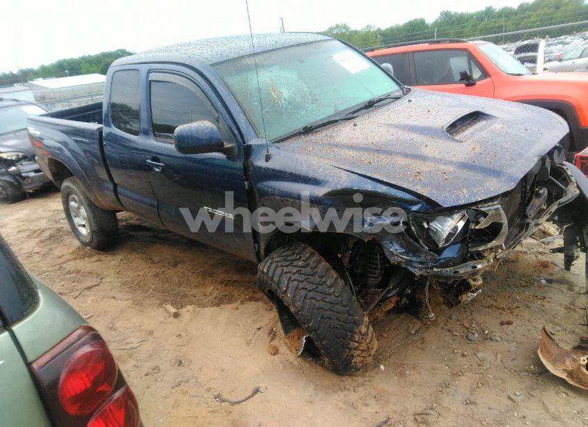 2007 Toyota Tacoma BASE V6 (VIN 5TEUU42N57Z375835) main photo