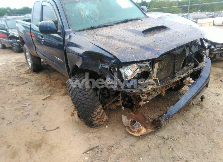 Photo 6 of 2007 Toyota Tacoma BASE V6 (VIN 5TEUU42N57Z375835)