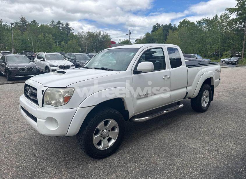 Photo 2 of 2008 Toyota Tacoma ACCESS CAB (VIN 5TEUU42N58Z487696)