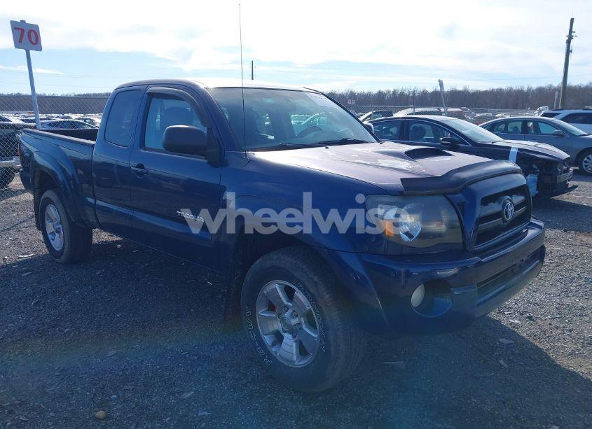 2008 Toyota Tacoma ACCESS CAB (VIN 5TEUU42N58Z552904) main photo