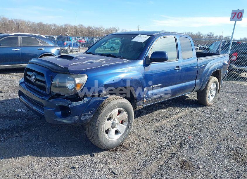 Photo 2 of 2008 Toyota Tacoma ACCESS CAB (VIN 5TEUU42N58Z552904)