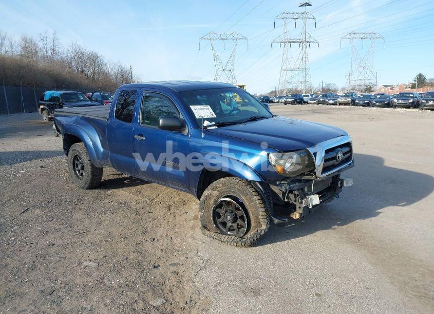 2008 Toyota Tacoma BASE V6 (VIN 5TEUU42N68Z533231) main photo