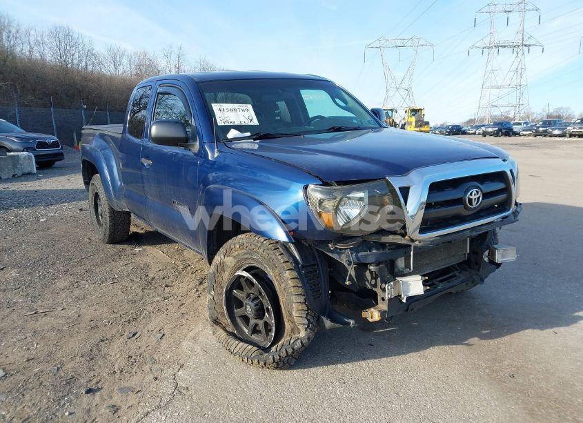 Photo 6 of 2008 Toyota Tacoma BASE V6 (VIN 5TEUU42N68Z533231)