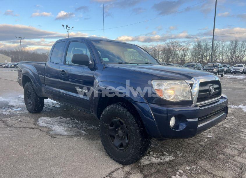 2008 Toyota Tacoma BASE V6 (VIN 5TEUU42N68Z591632) main photo