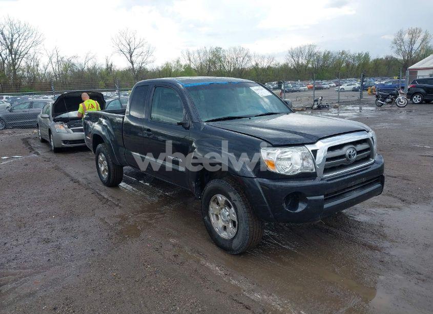 2009 Toyota Tacoma BASE V6 (VIN 5TEUU42N69Z611413) main photo