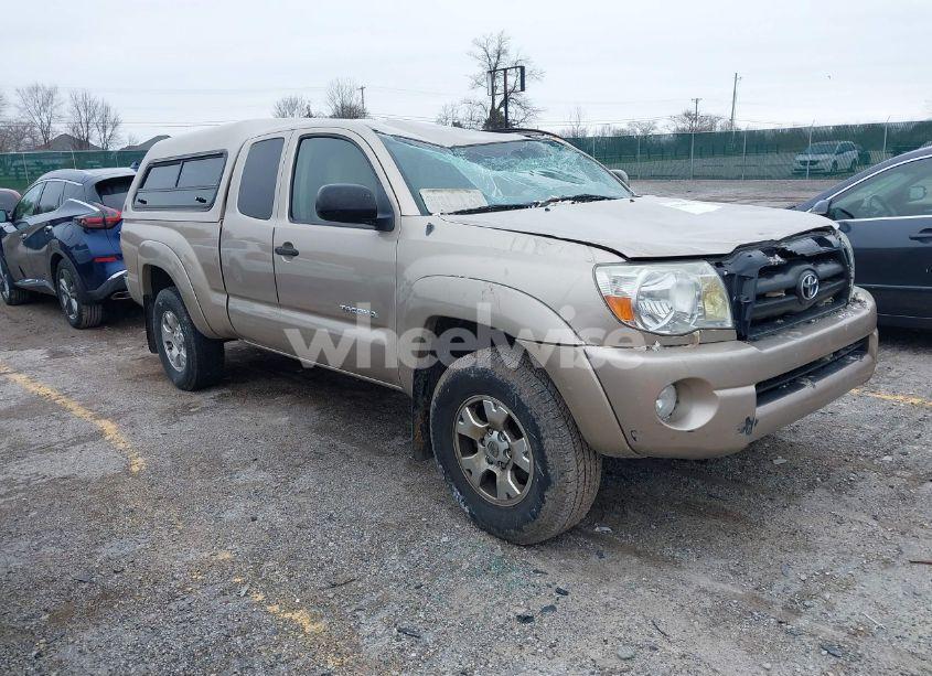 2005 Toyota Tacoma BASE V6 (VIN 5TEUU42N75Z034952) main photo