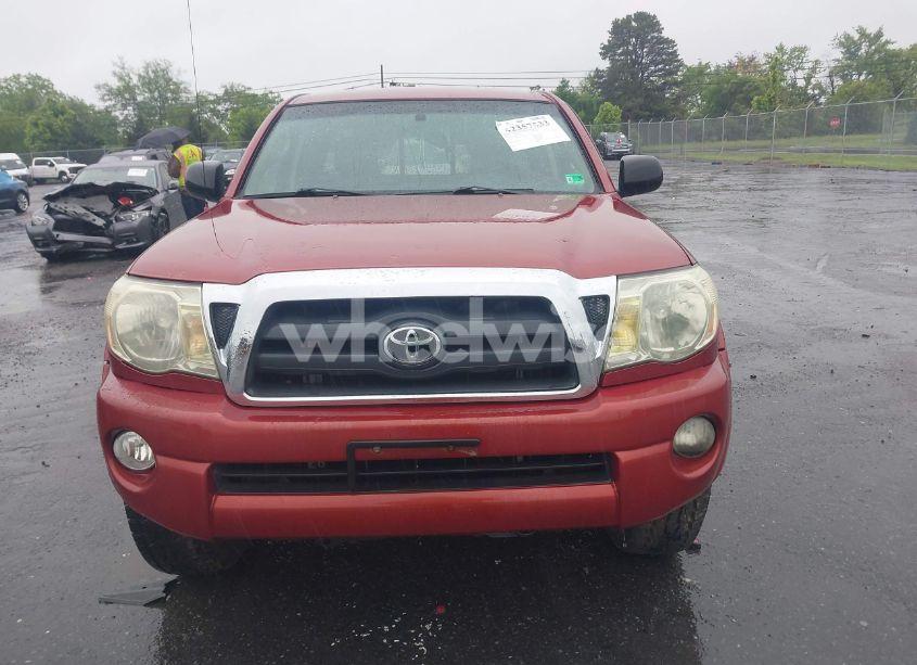 Photo 12 of 2005 Toyota Tacoma BASE V6 (VIN 5TEUU42N75Z051864)
