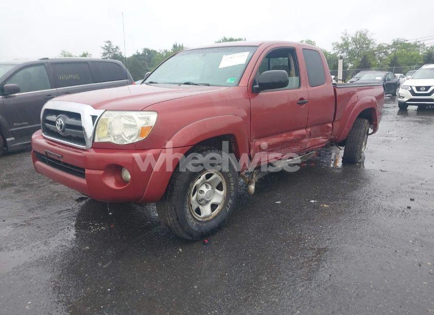 Photo 2 of 2005 Toyota Tacoma BASE V6 (VIN 5TEUU42N75Z051864)