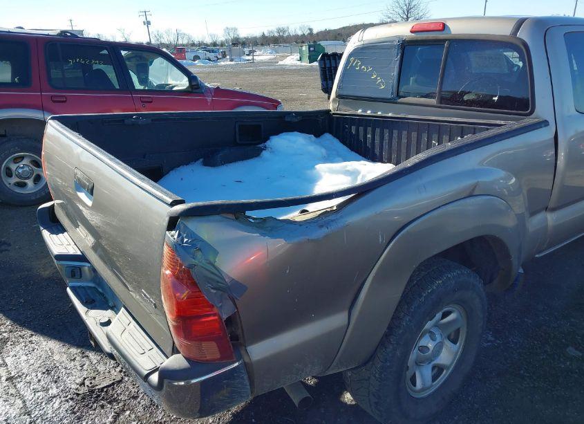 Photo 6 of 2005 Toyota Tacoma BASE V6 (VIN 5TEUU42N85Z121503)