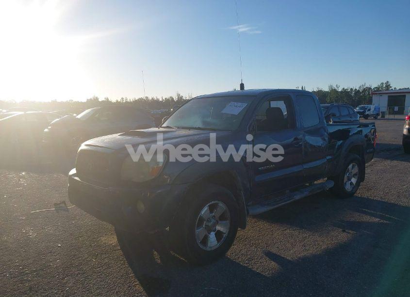 Photo 2 of 2006 Toyota Tacoma BASE V6 (VIN 5TEUU42N86Z174218)