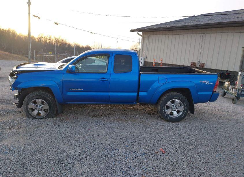 Photo 15 of 2007 Toyota Tacoma ACCESS CAB (VIN 5TEUU42N87Z359225)