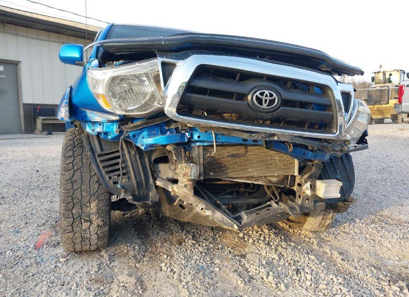 Photo 6 of 2007 Toyota Tacoma ACCESS CAB (VIN 5TEUU42N87Z359225)